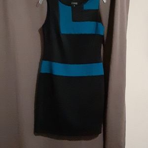 Enfocus Studio Dress